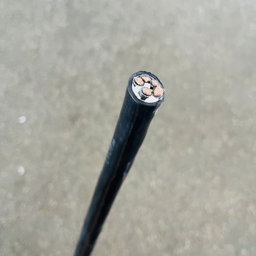 ����max(�й���)���޹�˾����