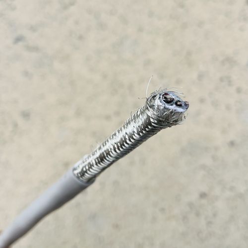 ����max(�й���)���޹�˾����