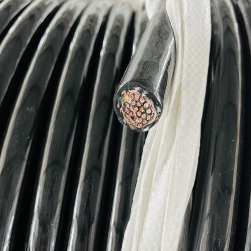 ����max(�й���)���޹�˾����