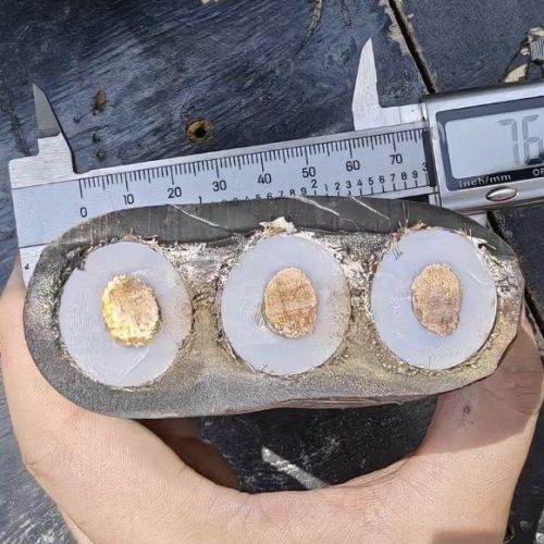 狗万·max(中国游)有限公司官网