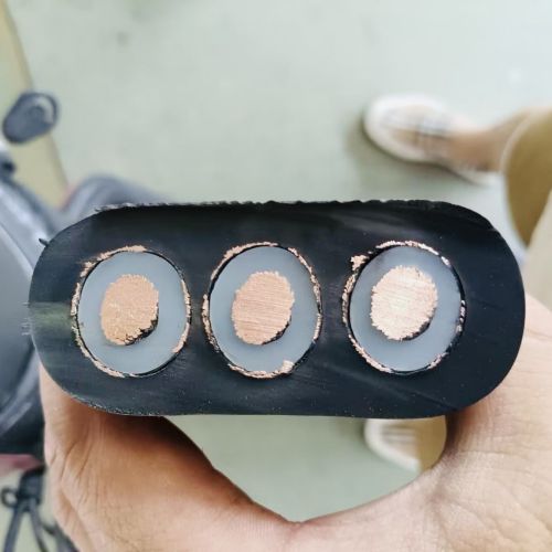 ����max(�й���)���޹�˾����