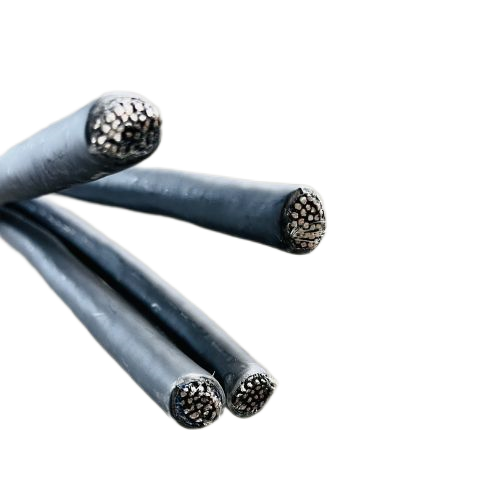 ����max(�й���)���޹�˾����