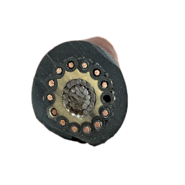 ����max(�й���)���޹�˾����