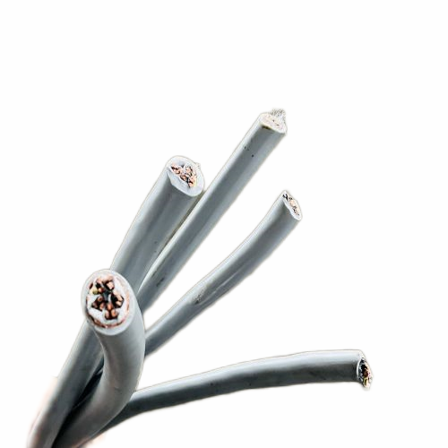 ����max(�й���)���޹�˾����