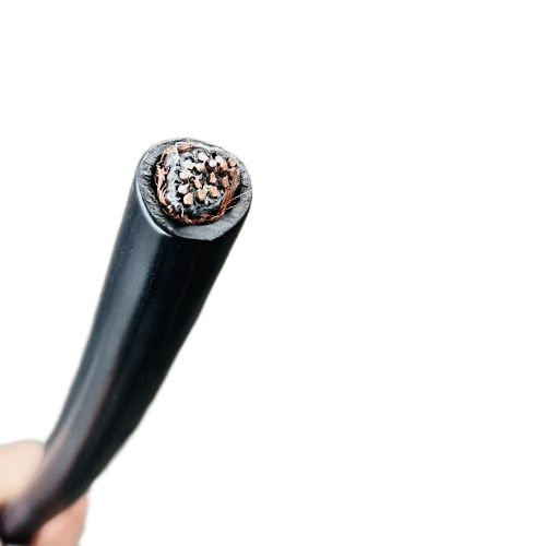 ����max(�й���)���޹�˾����