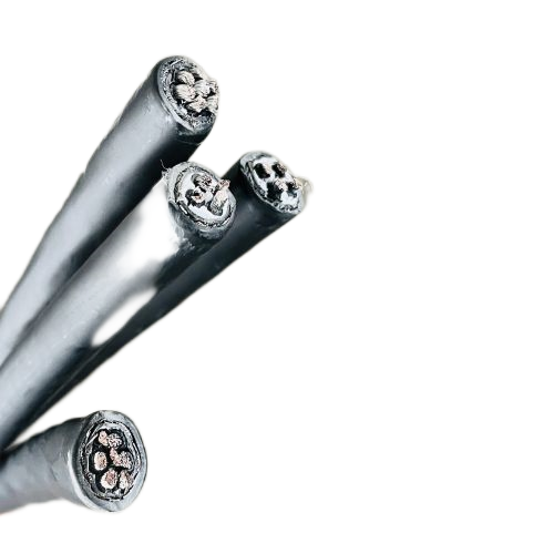 ����max(�й���)���޹�˾����