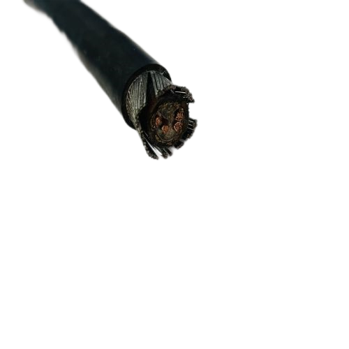 ����max(�й���)���޹�˾����