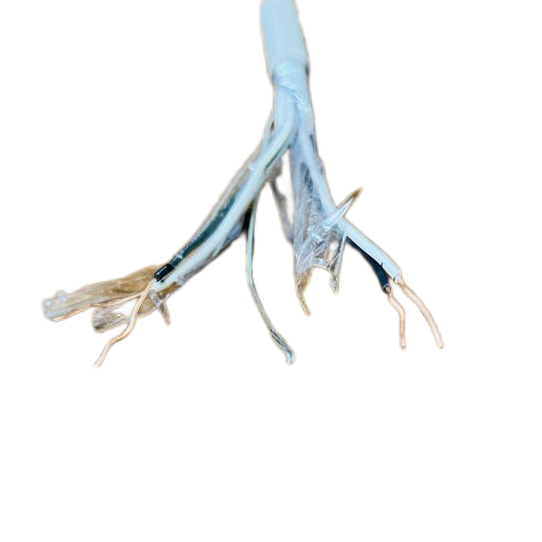 ����max(�й���)���޹�˾����