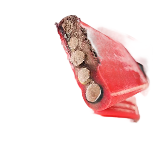 狗万·max(中国游)有限公司官网