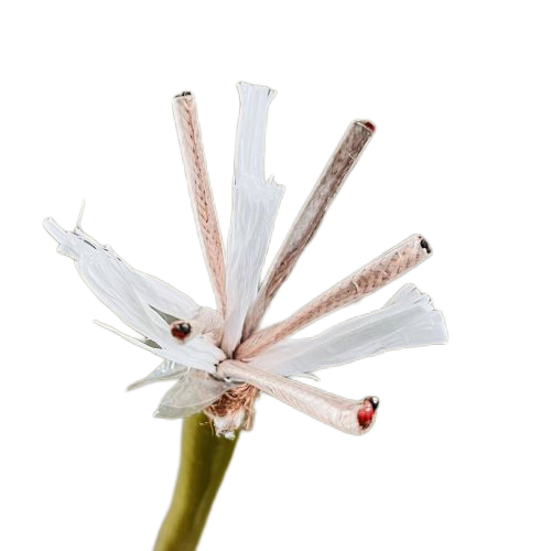 ����max(�й���)���޹�˾����