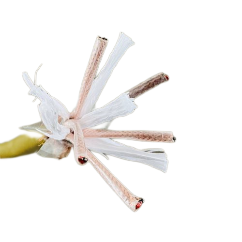 ����max(�й���)���޹�˾����