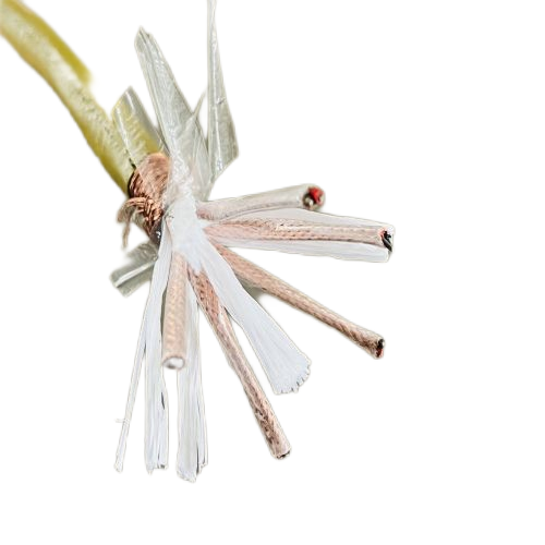 ����max(�й���)���޹�˾����