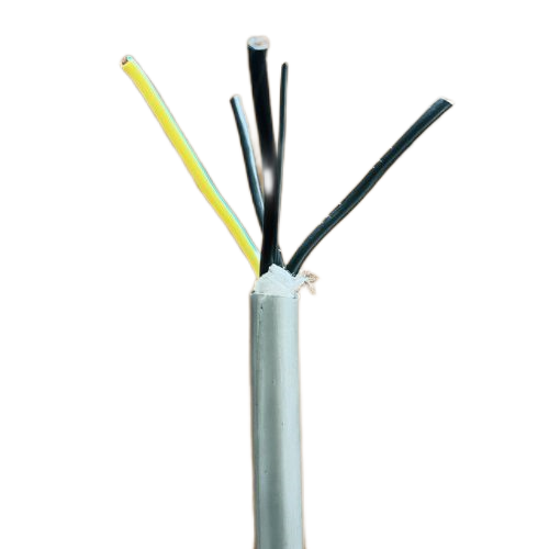 ����max(�й���)���޹�˾����