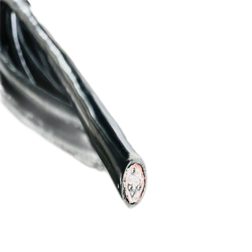 ����max(�й���)���޹�˾����