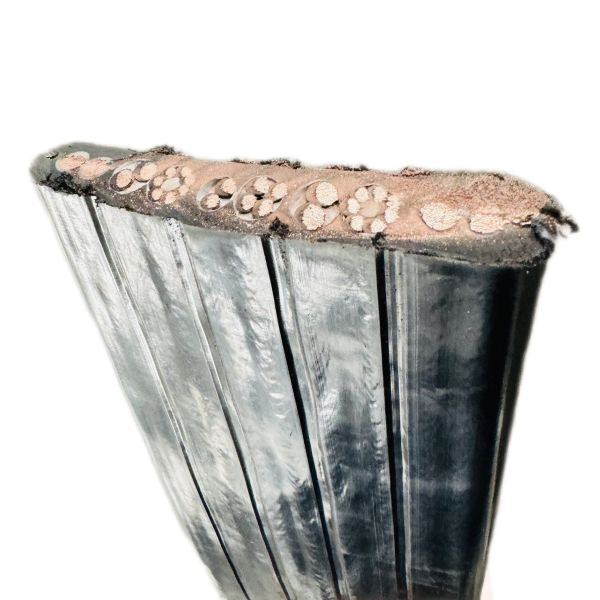 ����max(�й���)���޹�˾����