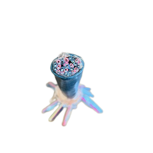 ����max(�й���)���޹�˾����