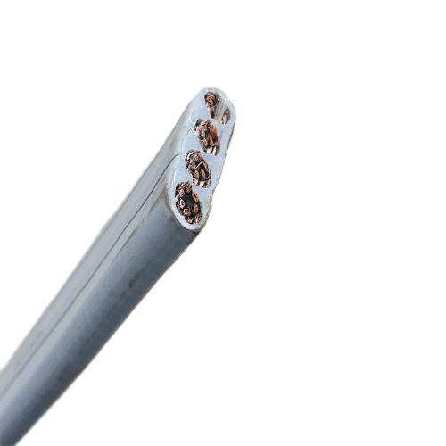 ����max(�й���)���޹�˾����