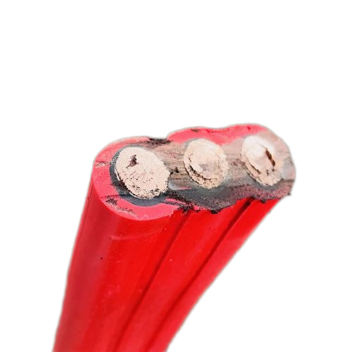 ����max(�й���)���޹�˾����