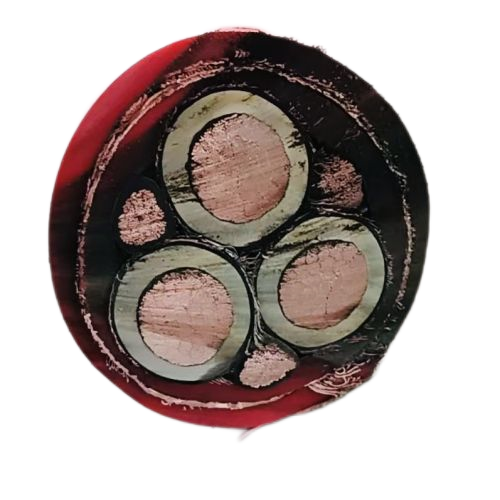 狗万·max(中国游)有限公司官网