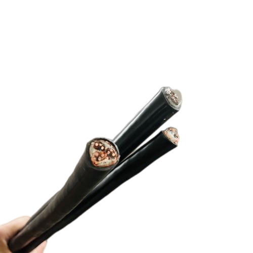 ����max(�й���)���޹�˾����