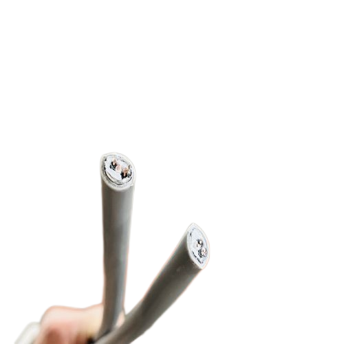 ����max(�й���)���޹�˾����