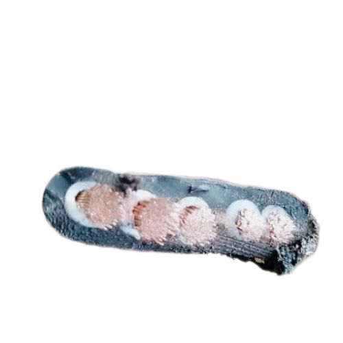 ����max(�й���)���޹�˾����