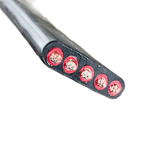 ����max(�й���)���޹�˾����