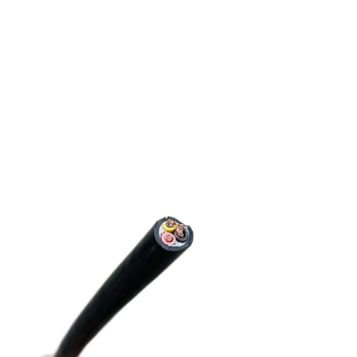 ����max(�й���)���޹�˾����