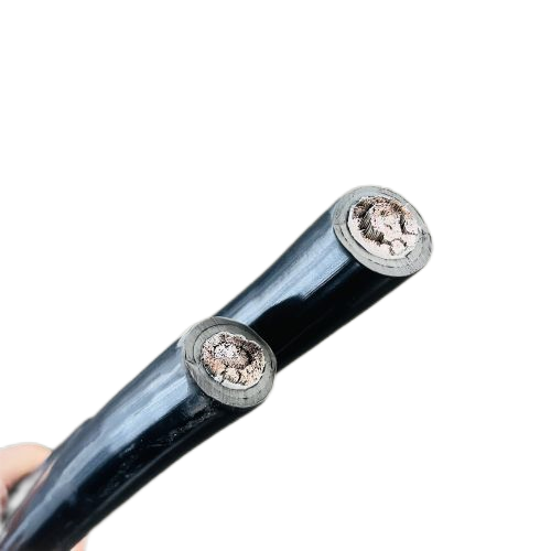 ����max(�й���)���޹�˾����