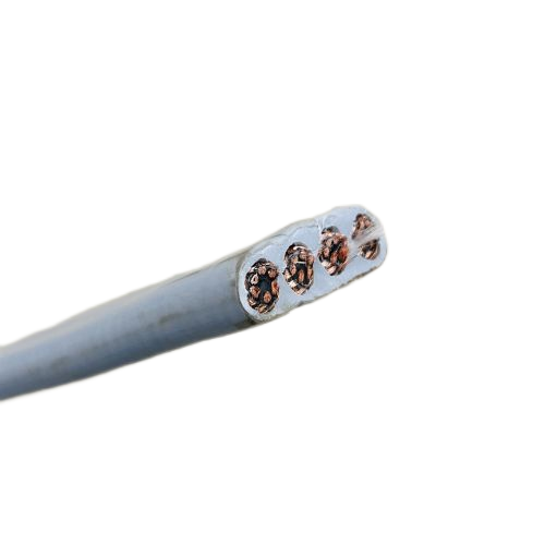 ����max(�й���)���޹�˾����