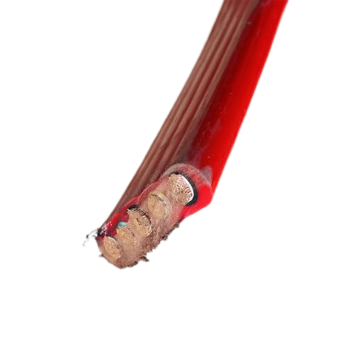 ����max(�й���)���޹�˾����