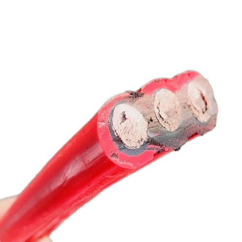 ����max(�й���)���޹�˾����