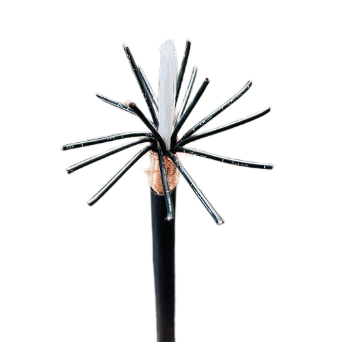 ����max(�й���)���޹�˾����