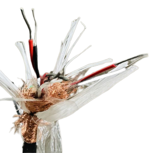 ����max(�й���)���޹�˾����