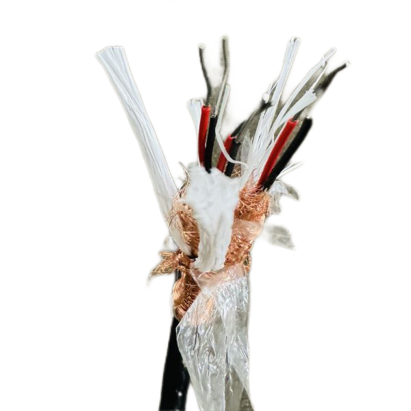 ����max(�й���)���޹�˾����