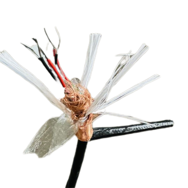 ����max(�й���)���޹�˾����