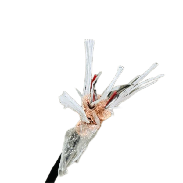 ����max(�й���)���޹�˾����