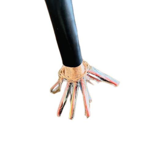 ����max(�й���)���޹�˾����