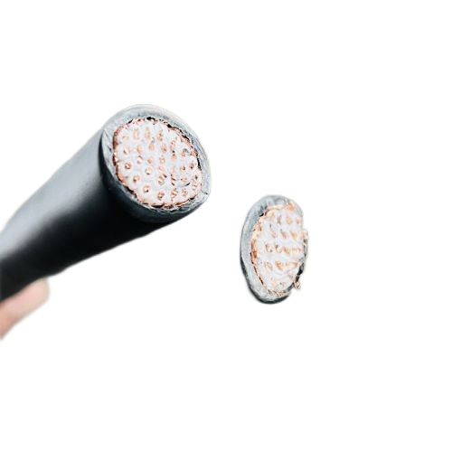 ����max(�й���)���޹�˾����