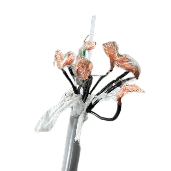 ����max(�й���)���޹�˾����