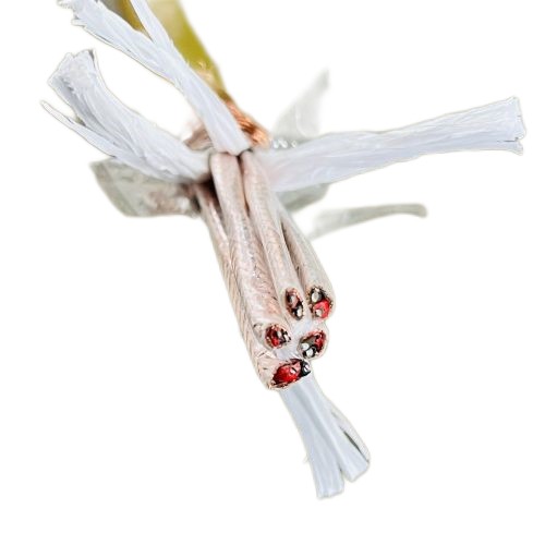 ����max(�й���)���޹�˾����