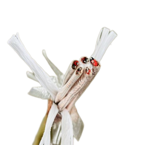 ����max(�й���)���޹�˾����