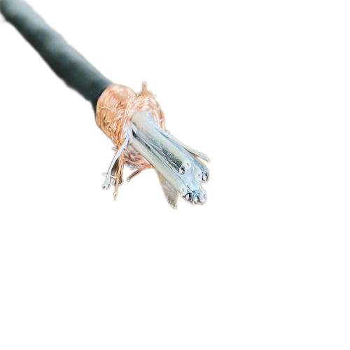 ����max(�й���)���޹�˾����