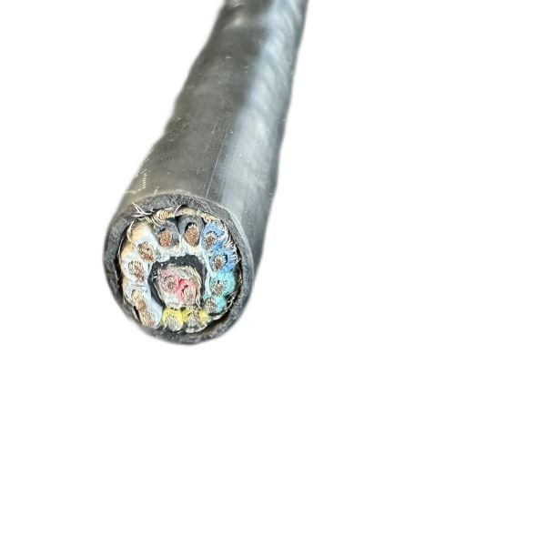 ����max(�й���)���޹�˾����