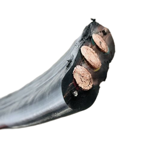 ����max(�й���)���޹�˾����