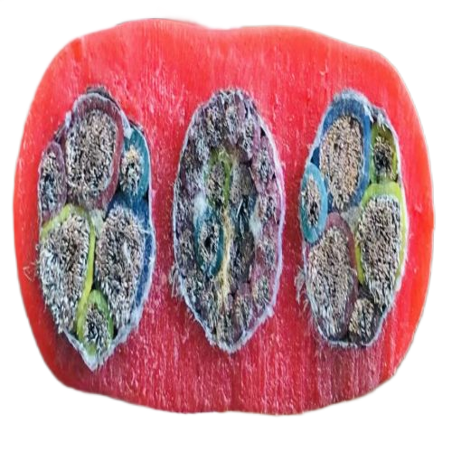 狗万·max(中国游)有限公司官网