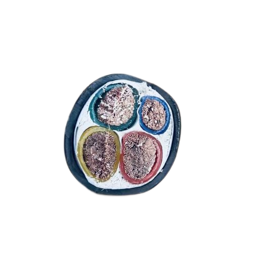 ����max(�й���)���޹�˾����