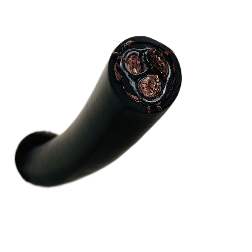 ����max(�й���)���޹�˾����