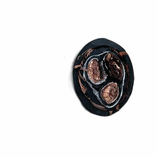 ����max(�й���)���޹�˾����