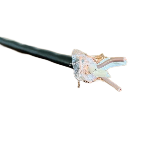 ����max(�й���)���޹�˾����